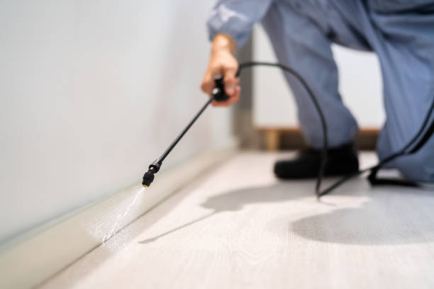 Licensed Pest Control service in Santa Cruz, CA - Show Me Pest Control