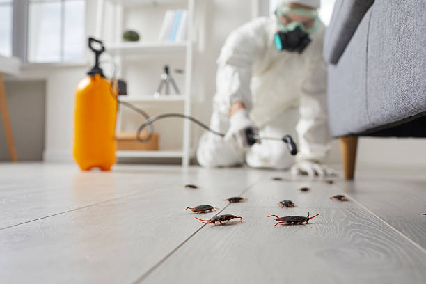 Post-Treatment Bed Bug Interceptor Monitoring in Santa Cruz
