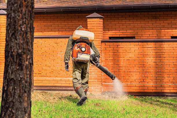 Bed Bug Clearance Verification and Documentation in Santa Cruz